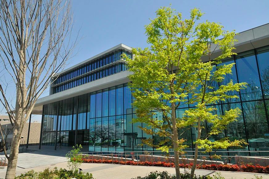 1596652782569496.png image.png