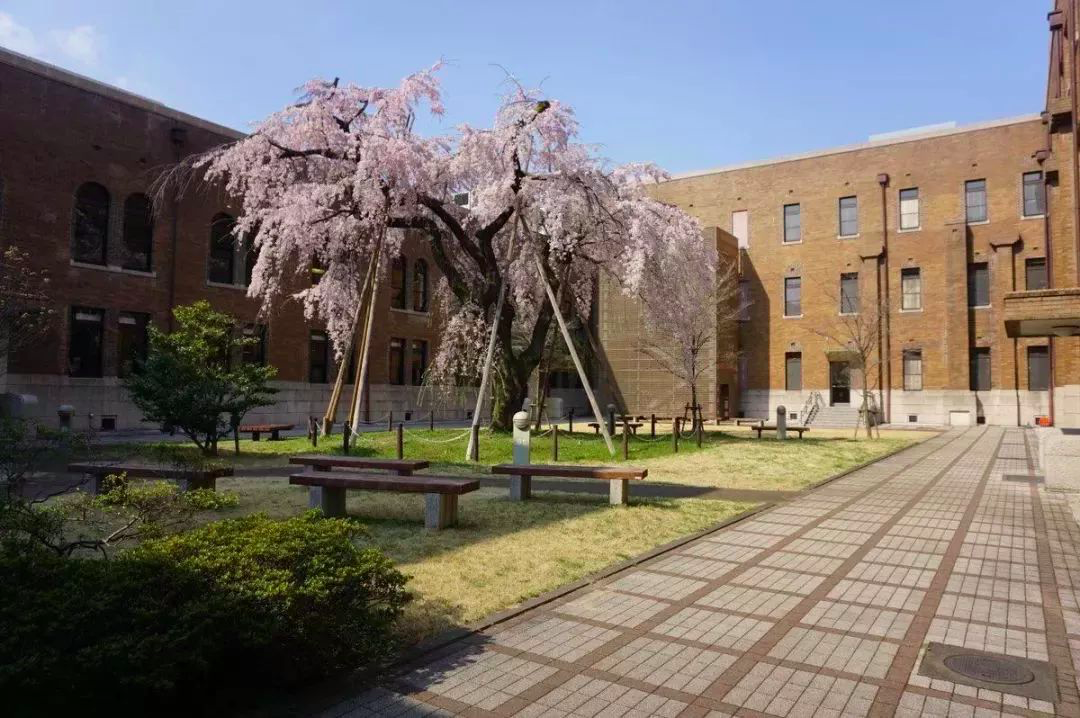 女子大学特辑|从国立名门到贵族女校