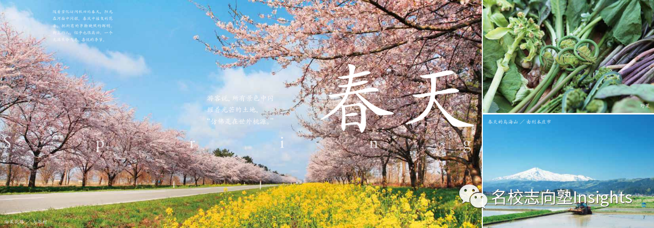 1602814995625577.png image.png