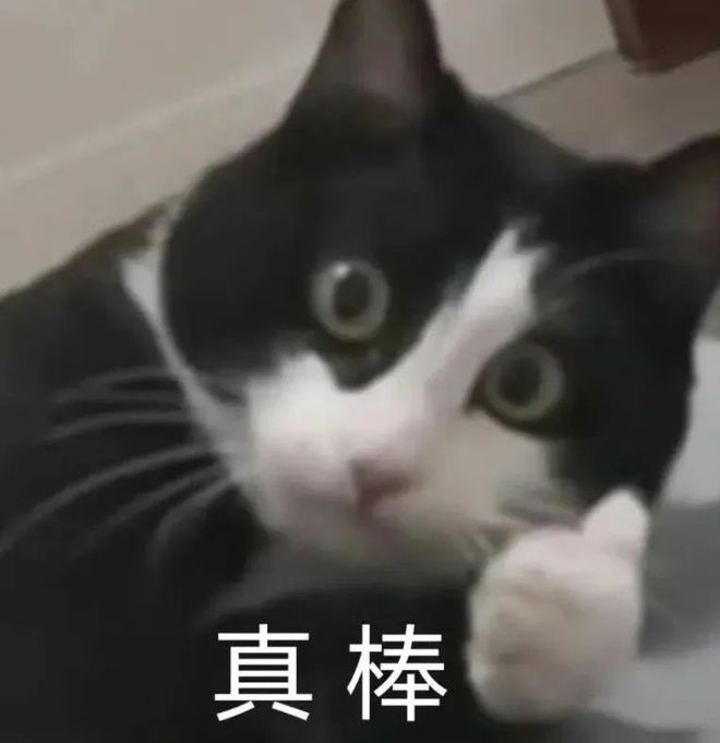 1713766582219976.png 640-2.png
