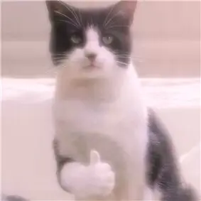 1713767543154668.png 640-2.png