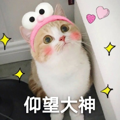 1713767600345488.png 640-5.png
