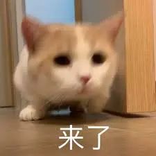 1715241197816198.jpeg 640.jpg