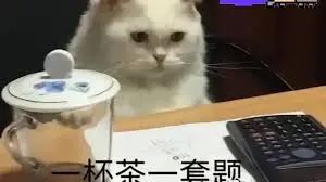 1715241213659225.jpeg 640-1.jpg