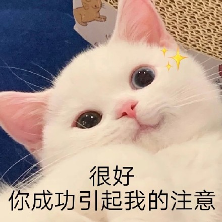 1715243742191215.png 640-2.png