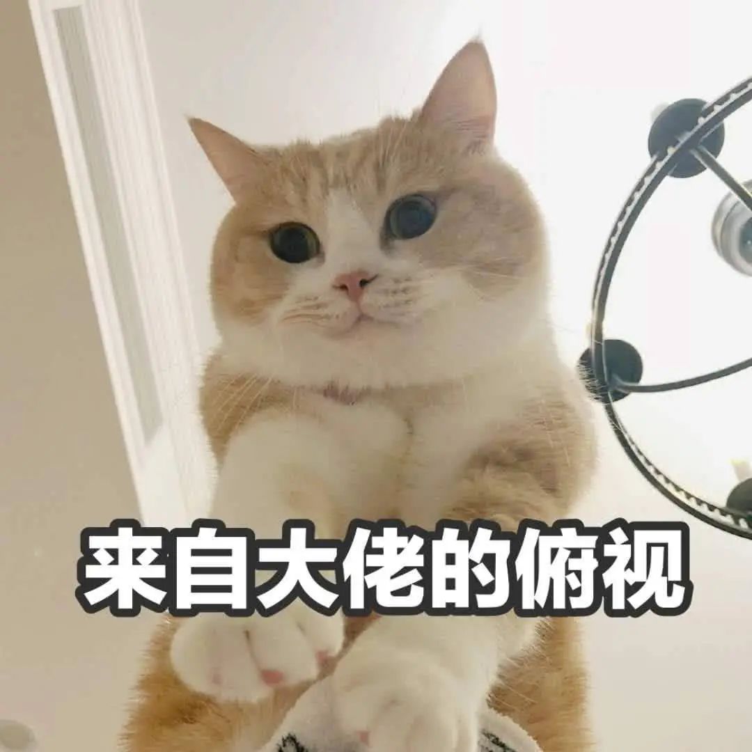 1715243805105630.jpeg 640-4.jpg