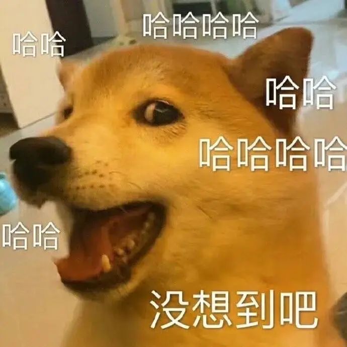 1715565365484314.jpeg 640-1.jpg