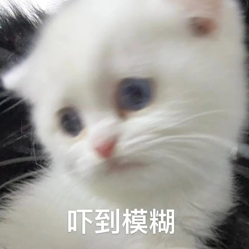 1715736934170567.jpeg 640-3.jpg