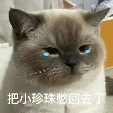 1716779240136481.jpeg 640-2.jpeg