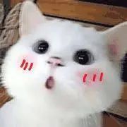 1716779278727453.jpeg 640-4.jpeg