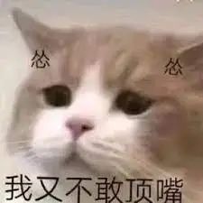 1716779303538776.jpeg 640-5.jpeg