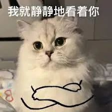 1716876885969839.jpeg 640-4.jpeg