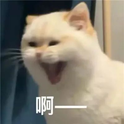 1717570838208825.jpeg 640.jpeg
