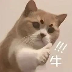 1717570883219846.jpeg 640-2.jpeg
