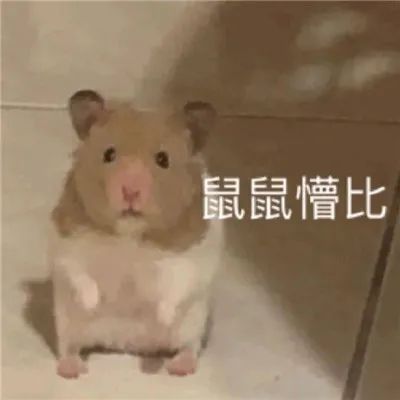 1717570916997077.jpeg 640-5.jpeg