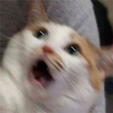 1717570934295938.jpeg 640-6.jpeg