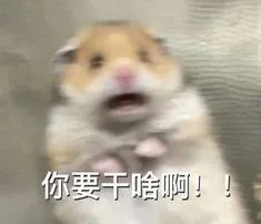 1717570964836012.jpeg 640-8.jpeg