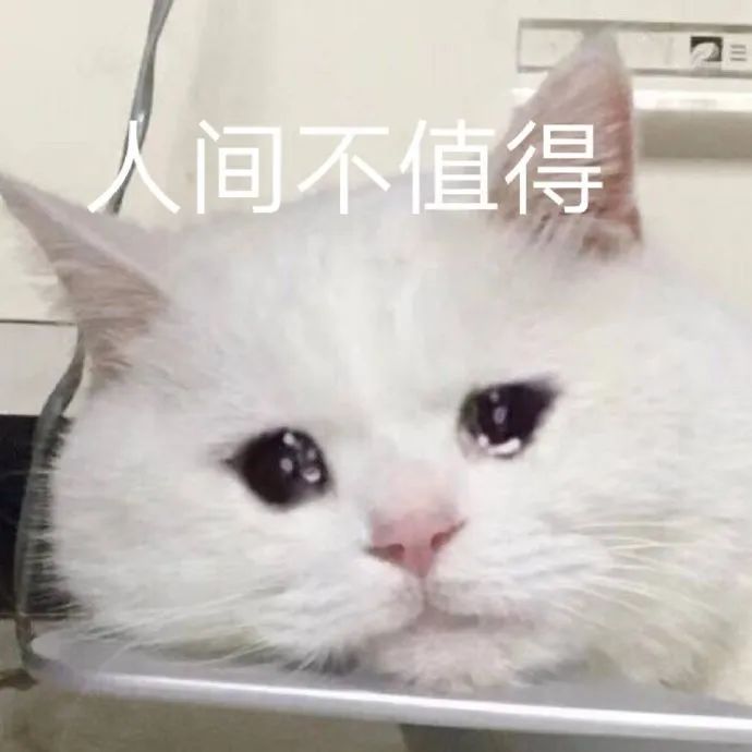 1718172790595184.jpeg 640-1.jpg