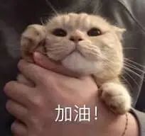 1718172865650610.jpeg 640-5.jpg