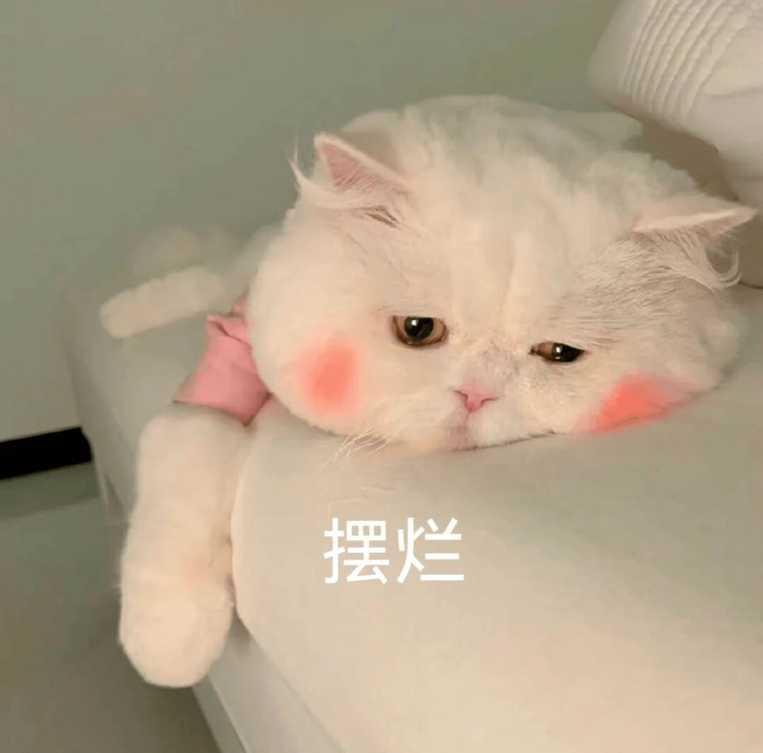 1718172902991366.png 640-2.png