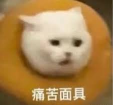 640-3.png