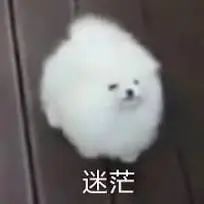 1718172952302978.jpeg 640-9.jpg