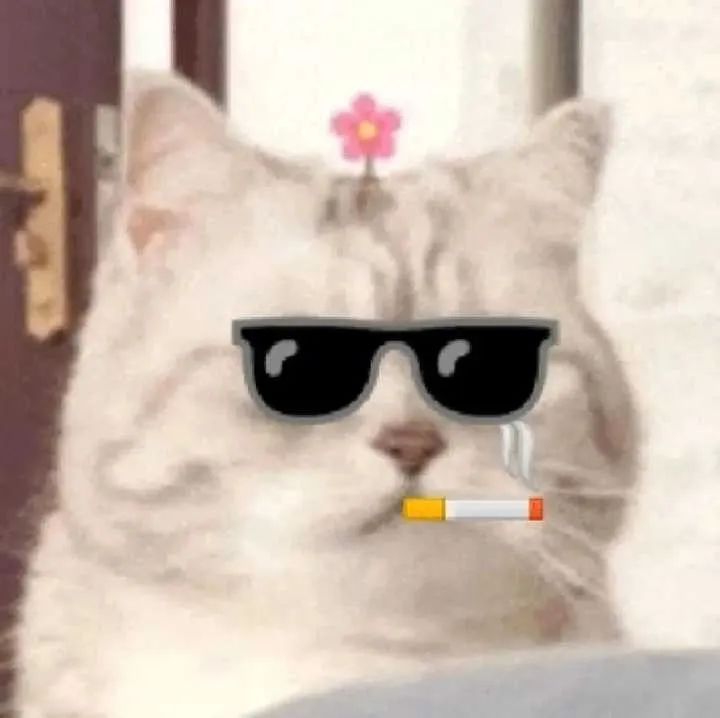 1719903400632241.jpeg 640-5.jpeg