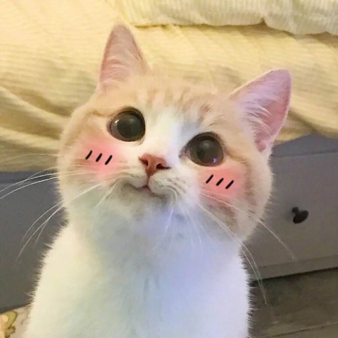 1720582051195771.jpeg 640-8.jpeg