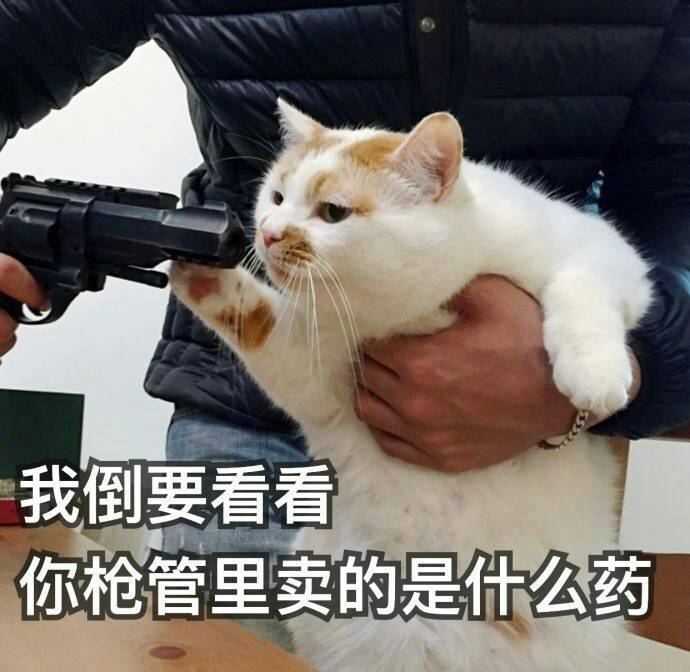1721891600656281.png 640-1.png