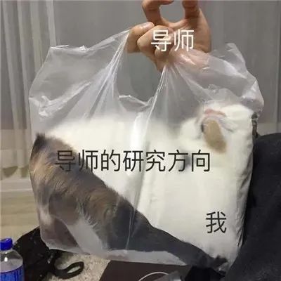 1721891700211756.jpeg 640-9.jpeg