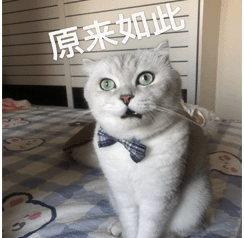 截屏2024-08-09 14.59.04.png