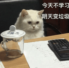 截屏2024-08-09 15.00.48.png