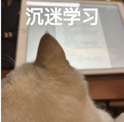 截屏2024-08-09 15.01.43.png