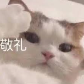 1740022455750101.png 640-2.png