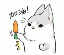 1740022469967802.png 640-4.png